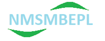 NMSMBEPL logo